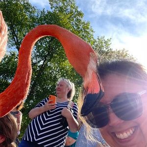 Meet your Posher, Aja